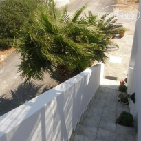 Michalis Studios