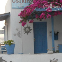 Ostria Vento
