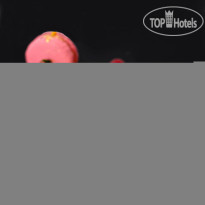 Ikos Olivia Французский ала карт ресторан 