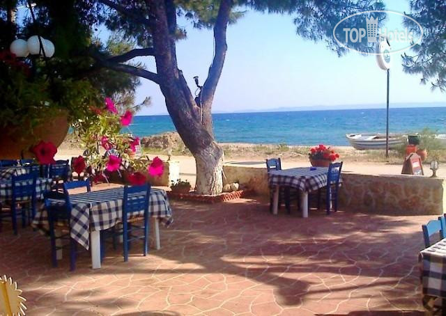 New photos from tourists Marina Hotel 2*
