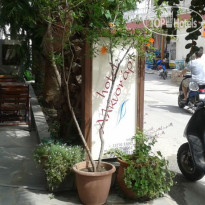 Alkyonari Hotel
