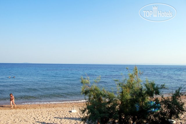New photos from tourists Amari Hotel 3*