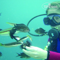 Porto Carras Meliton Deluxe Thalassotherapy & Spa 