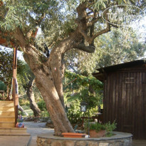 Kortiri Studios