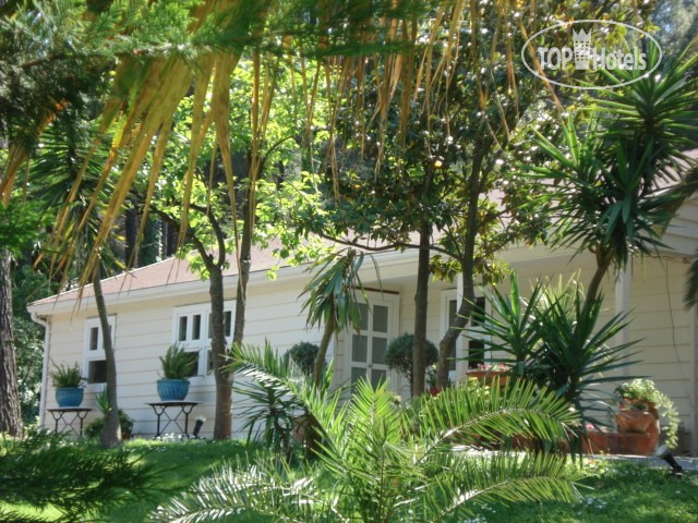 Hotel photo Villa Afroessa APT