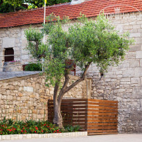 Ammon Zeus Hotel