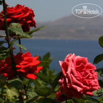 Villa Irini