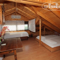 Anastasia Apartments Hanioti 