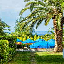 Port Marina 