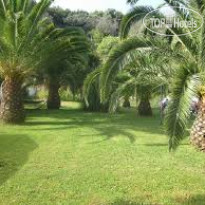 Alessandro Apartment 