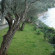 Saint Nicholas Beach Apartments 