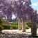 Alexandros Apartments 