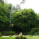 Villa Presidential 