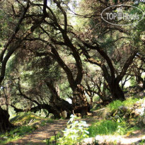 Villa Papoulas Apartments 