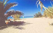 New photos from tourists Ibiscus Corfu Hotel 4*