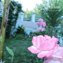 Hotel Allegro Сад