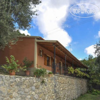 Pieros Studios Alipa 