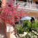 Villa Maria 