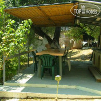 Olive Grove Studios