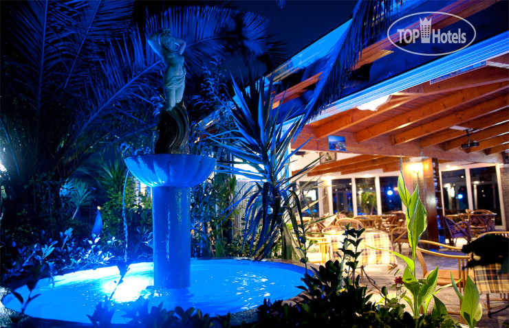 Hotel photo Charlies Venus Apartments 