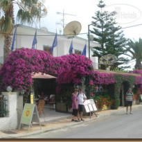 Harrys Bar & Apartments 