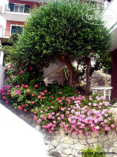 New photos from tourists Gorgona Apartments 