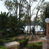Solea 