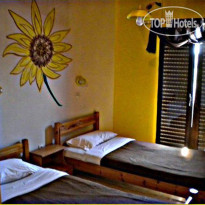 Comfy Hostel Studios