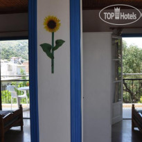 Sunflower Apartments & Studios 