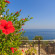 Grande Mare Hotel & Wellness 