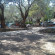 Camping Paleokastritsa 