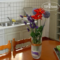 S&C Kosmos Beach Resort Номера
