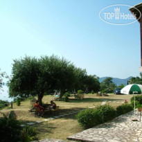 Anasa Corfu