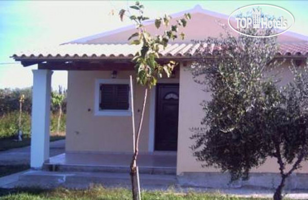 Hotel photo Villa Ifigenia APT