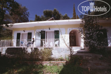 Vasilis APT