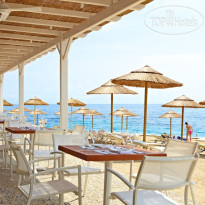 MarBella Corfu Dolphin