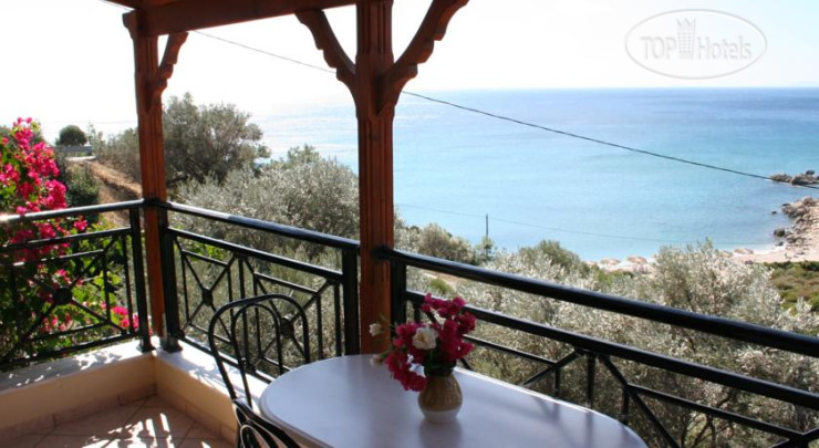 New photos from tourists Thalina 3*