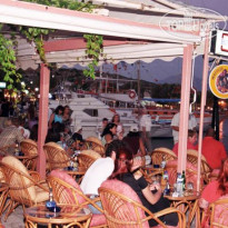 Dolphin Hotel