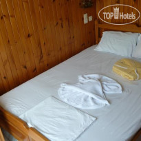Dolphin Hotel