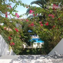 Villa Anna Studios 