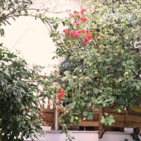 Pension Dryoussa