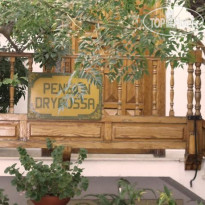 Pension Dryoussa