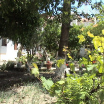 Katerina Studios