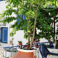 Vigla Hotel