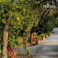 Diamanti Molivos Studios & Apartments