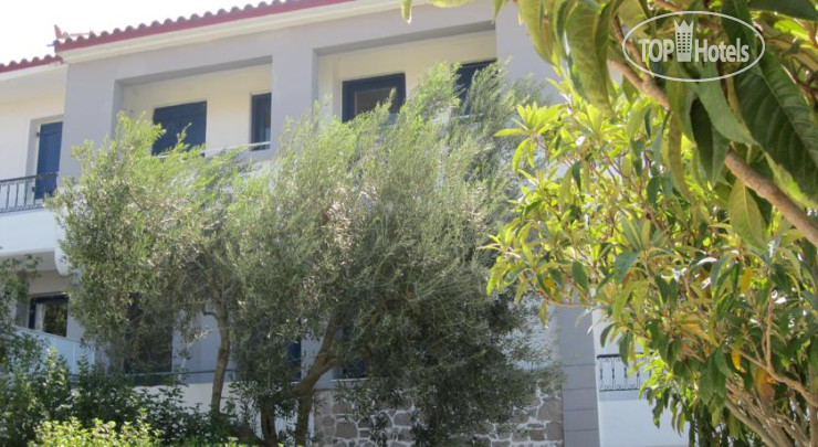 Hotelier's photos Theodora Hotel 2*