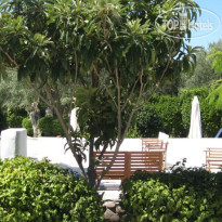Theodora Hotel 