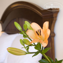 Adriatica Hotel Apartments
