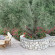 La Casa DIrene - Adults Only Отель