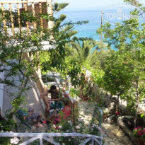 Araucaria Guesthouse 